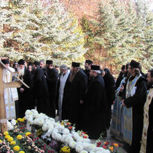 Pelerinaj Arsenie Boca 2011